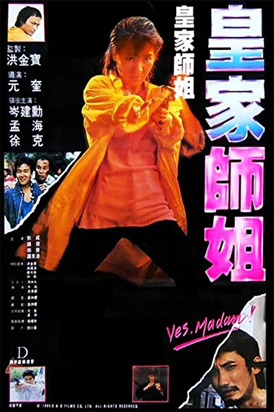 Да, мадам! / При исполнении. Полицейские убийцы (1985)