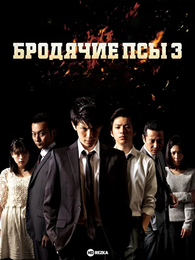 Бродячие псы 3 (2016)