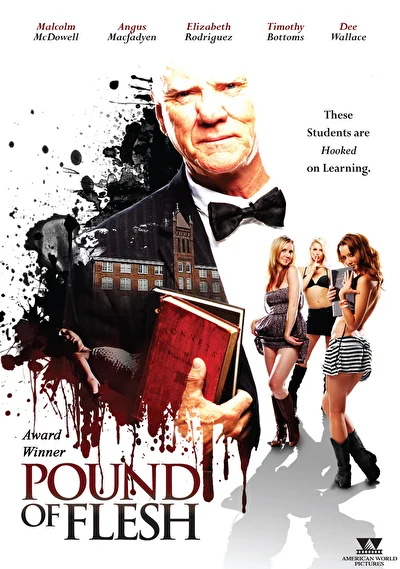 Тайны профессора Мелвилла (2010)